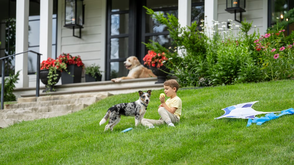 Little boy and puppy play with a ball in the front yard 