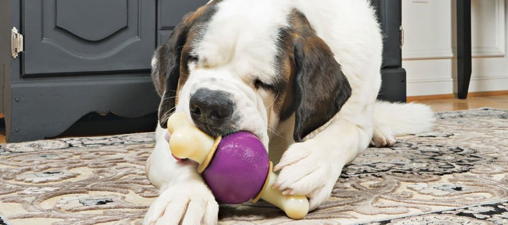 dog chewing toy from Invisible Fence® Brand that is best for his type of dog