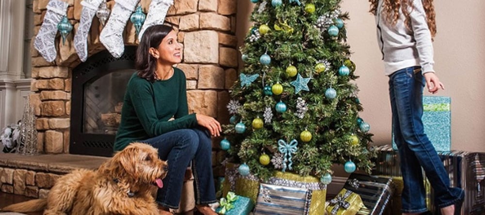 Keep Your Pets Protected from Holiday Hazards with Invisible Fence® Brand