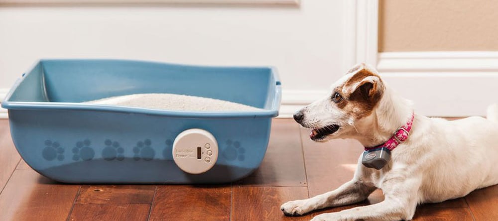 Are you struggling to stop your dog from eating the cat poop? Learn how Invisible Fence® Brand can help keep your dog away from the cat poop.