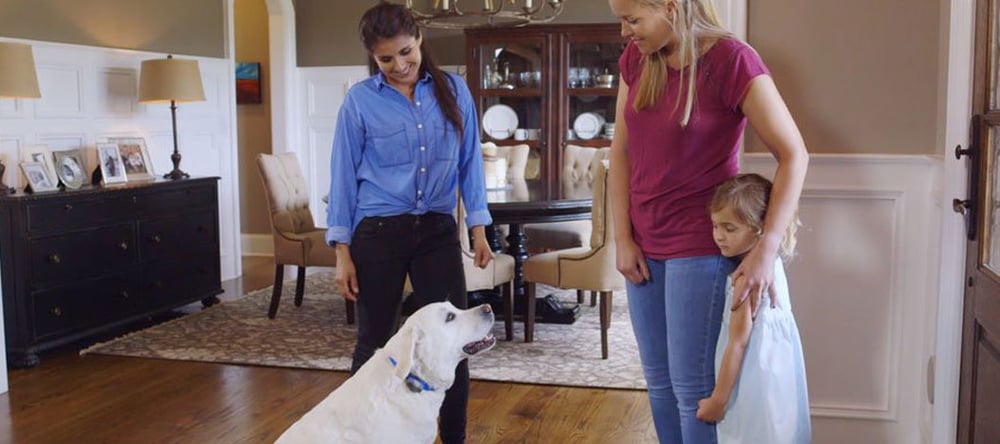 dog greeting guests at the door not jumping