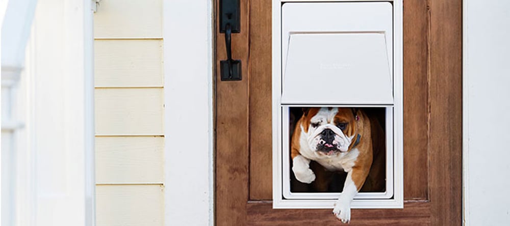 Invisible Fence® Brand Introduces Pet Access Solutions