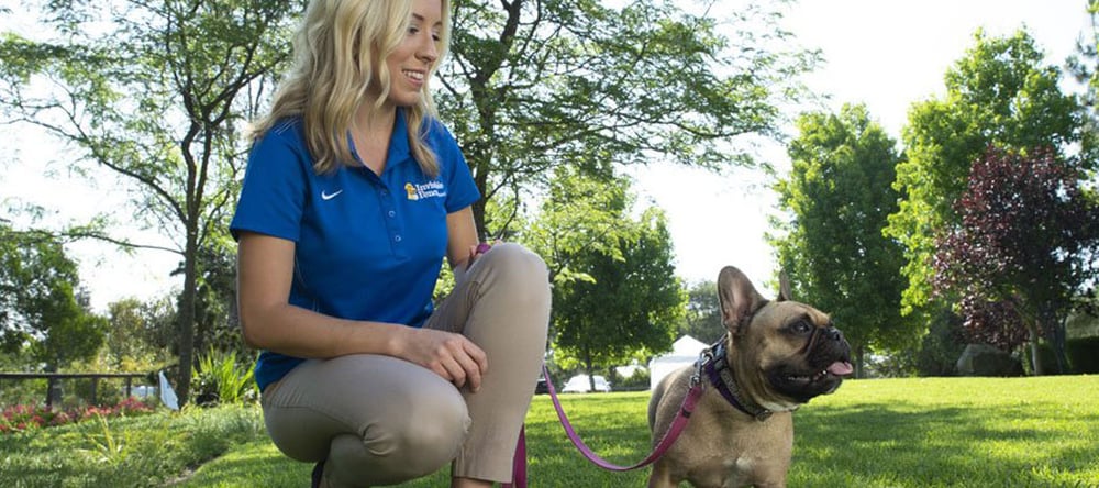 Living with an escape artist? Invisible Fence® Brand has put together the perfect guide on how to keep your dog in your yard!