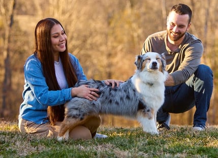 Australian Shepherd Dog