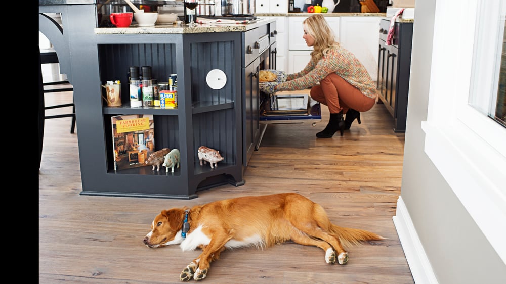 dog laying in kitchen staying away from off-limit pet areas where owner is cooking
