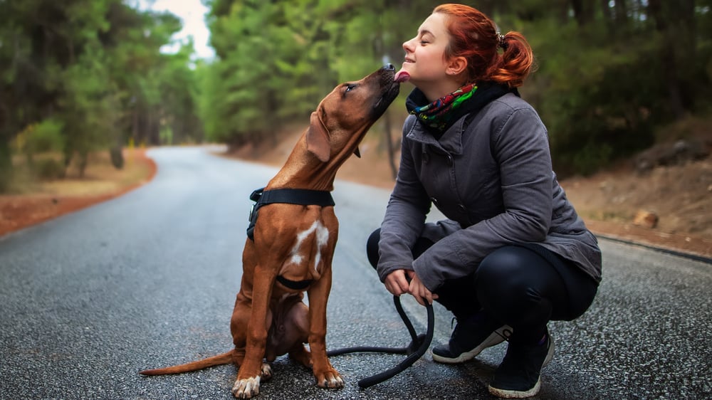 Pet owner and new puppy getting trained on a leash 