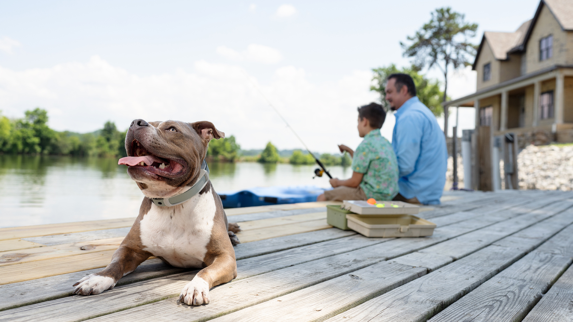 Father and son on dock fishing with dog during a holiday weekend