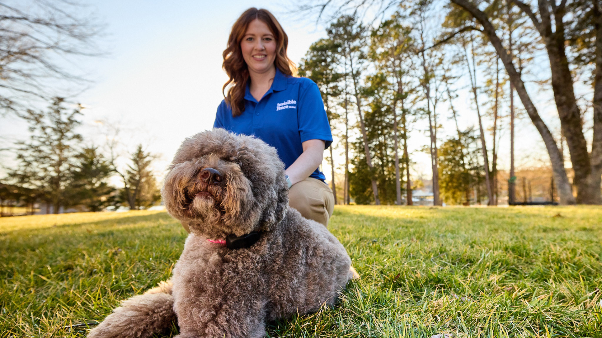Invisible Fence Brand trainer working with poodle on fence training