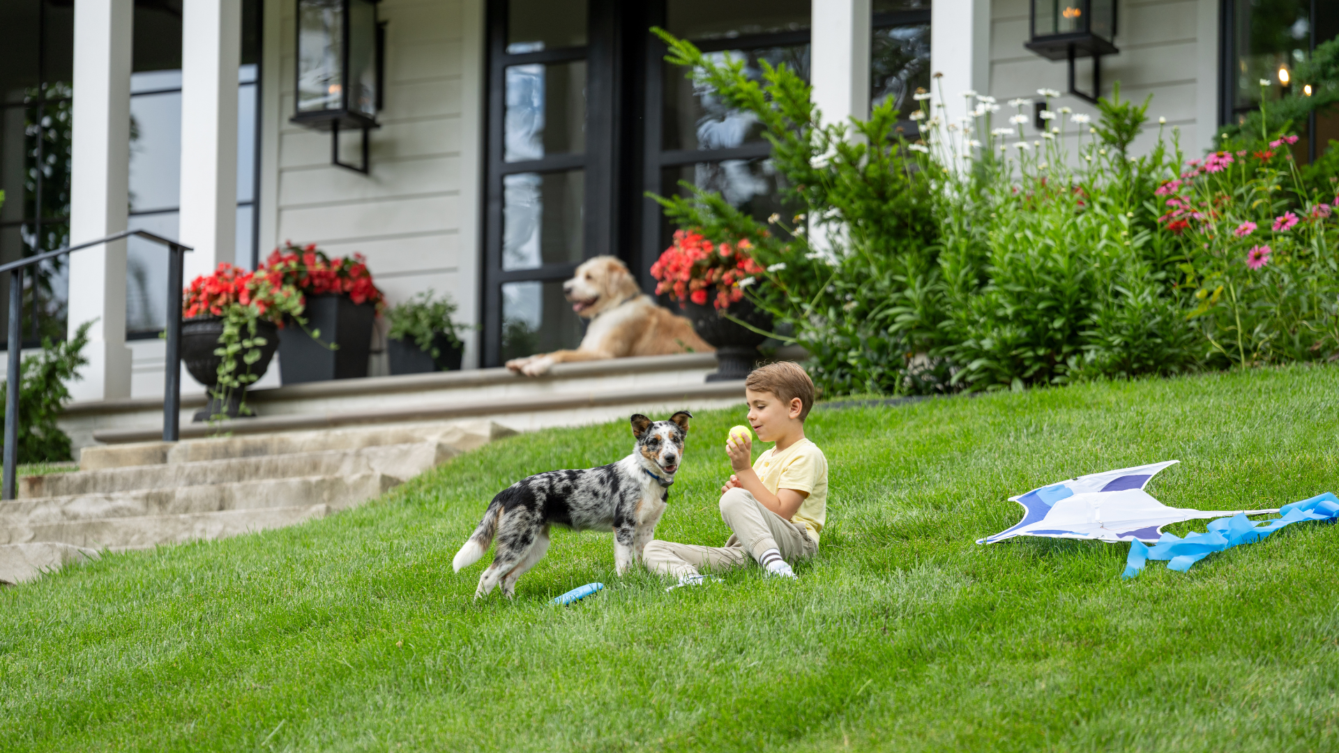 Little boy and puppy play with a ball in the front yard 