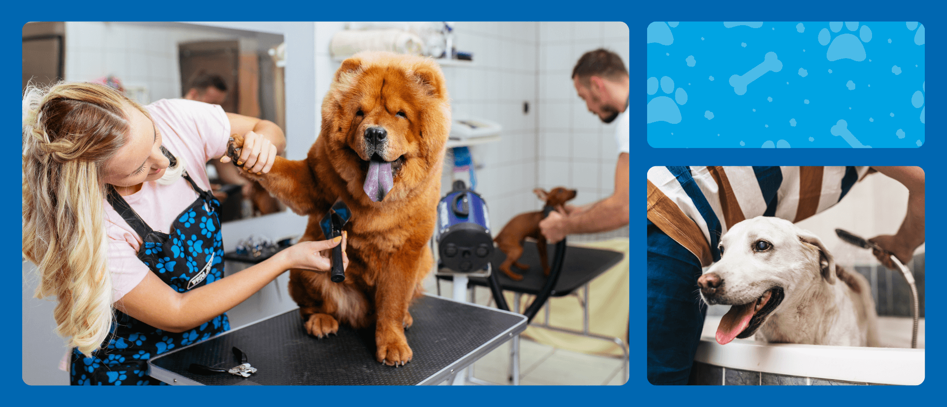 Grid of dogs receiving their first grooming by a professional