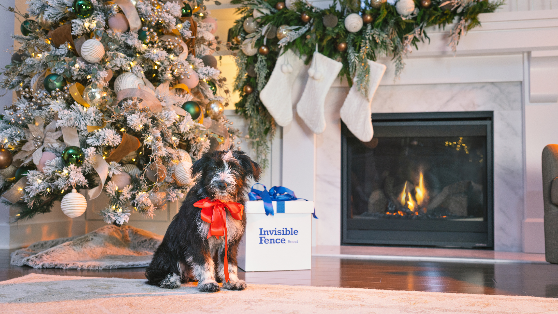 Dog sitting next to Christmas tree wearing bow with best gifts ideas for pet owners